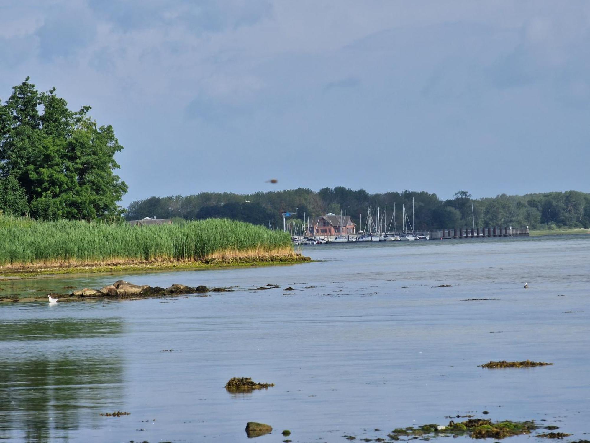 # Urlaubsreif Zierow Exterior foto